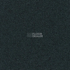 Ковровая плитка Modulyss Millennium Nxtgen Millennium Nxtgen 524 фото 1 | FLOORDEALER